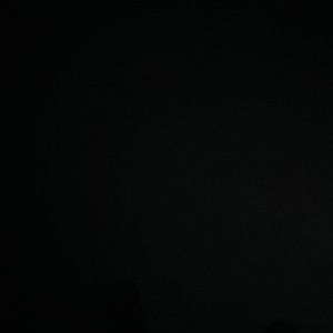 Meet your Posher, Shirley